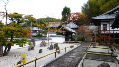 紅葉観に大宰府の「光明禅寺」に行ったけど１週間早かった【福岡天神～光明禅寺と周辺の紅葉状況編】