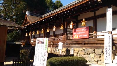 20181121 上賀茂神社