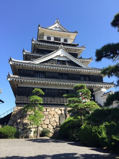 城の紀行--中津城と府内城跡