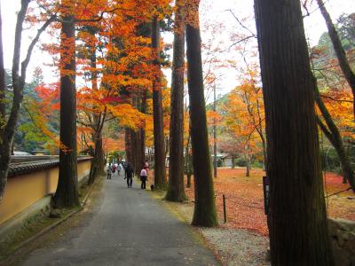 ひろしまの秋2018～佛通寺の紅葉～