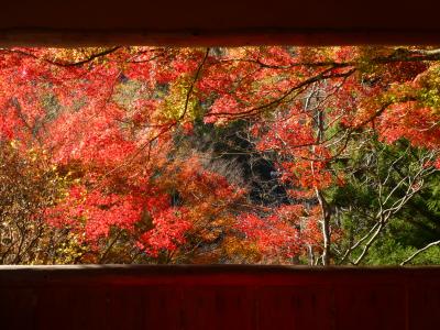 紅葉の白龍園 