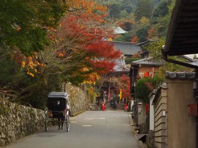 紅葉のコンチェルトPART1 in 宮島