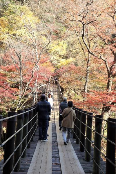 高萩 紅葉 に関する旅行記 ブログ フォートラベル 茨城県 高萩 紅葉 に関する旅行記 ブログ フォートラベル 茨城県