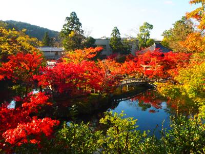 紅葉の永観堂からの2日目の紅葉狩り