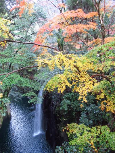 紅葉の九州縦断2泊3日の旅　その２「高千穂峡」「天岩戸神社」「阿蘓大観峰」「由布院」