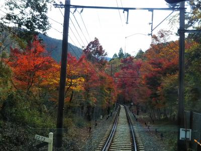 2018.11.20　一日乗車券を使ってもみじのトンネル・鞍馬寺と貴船神社