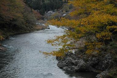 紅葉　　ＩＮ　　沢井渓谷　　第２弾