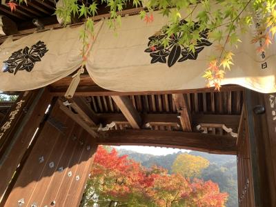 京都の紅葉2018秋～永観堂-南禅寺 紅葉王道編