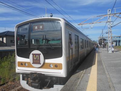 楽しい乗り物に乗ろう！　　JR東日本「いろは」　　～栃木～