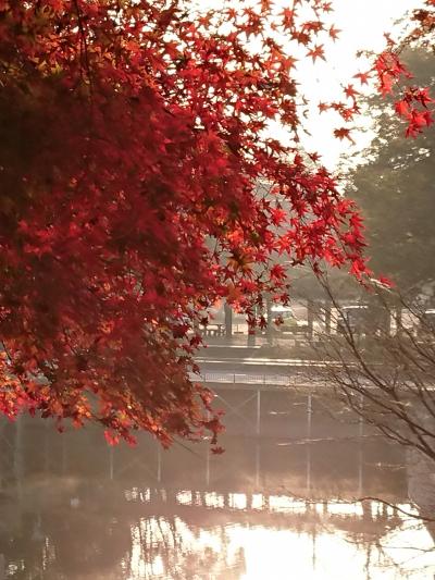 甘木公園２周目