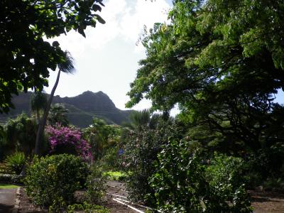 ハワイ　TheBus１－DAY PASSで植物園巡りinオアフ島4～6日目（帰国）クィーンカピオラニガーデン・クリームポット・マグロブラザーズ・アラワイ運河散歩