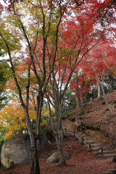 笠置山へ