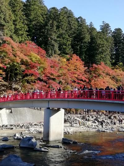 ☆念願の香嵐渓　寸又峡　紅葉☆　香嵐渓　パート１