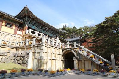 ６年ぶりの釜山一人旅　二日目　紅葉を期待して慶州へ