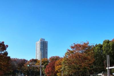 新宿で秋を感じる１日～高層階でランチ♪～