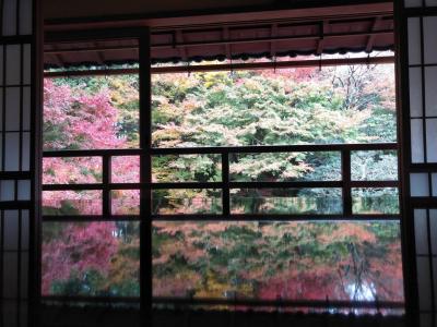 「大津」紅葉真っ盛りの比叡山の麓の門前町、坂本地区を巡る旅