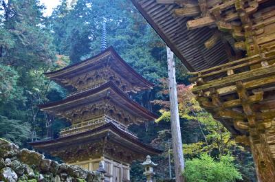 「美濃の正倉院」と言われる両界山横蔵寺の紅葉