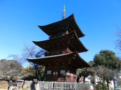 【駅からハイキング】豊かな安行の自然と歴史遺産をめぐる紅葉散歩