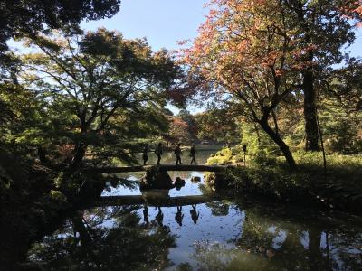 都内の紅葉を眺め、蕎麦を食べてまったり。