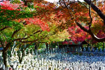 秋の京都で紅葉をめでる その４ 嵯峨野めぐり