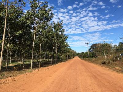 20171228-20180104 ナコンパノムでだらだら過ごす