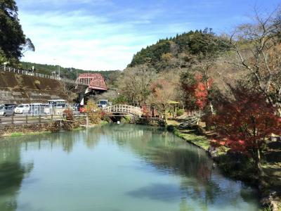 青井岳自然公園で紅葉を    