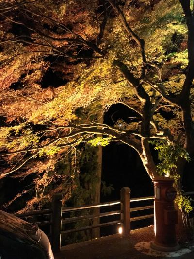 紅葉を見て骨休め。飛騨路フリー切符で行く高山と下呂温泉１泊2日の旅