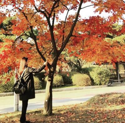 韓国、ソウル滞在18時間