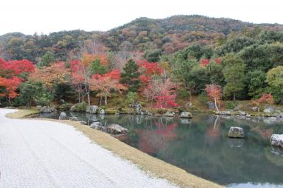 久しぶりの奈良・京都　⑤　～京都・嵐山と東寺
