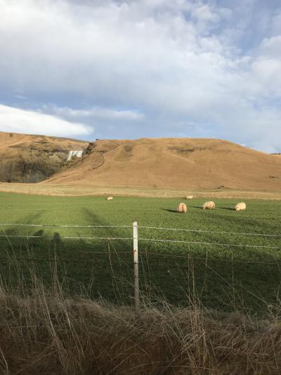 6泊8日のアイスランドツアー7ラスト