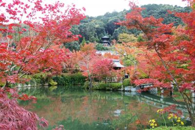 京都紅葉巡り2018 １日目