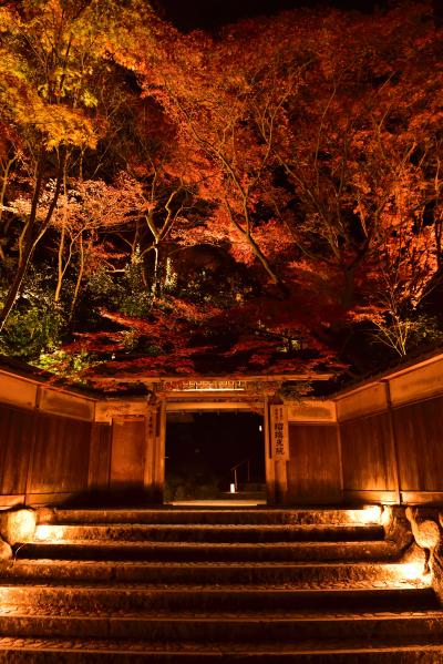 瑠璃光院の夜間特別拝観・八瀬もみじ小径ライトアップに行きました.　(*^^*)