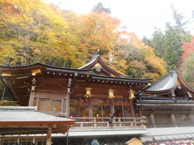 京都紅葉巡り・その一