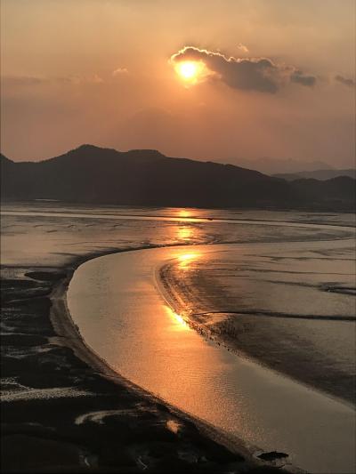 S-train　で行く　順天巡り　３　－順天湾湿地ー