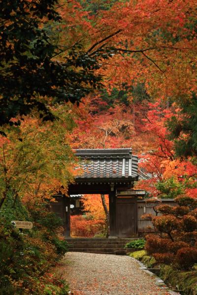 滋賀　紅葉めぐり～胡宮神社、清瀧寺徳源院、近江孤篷庵