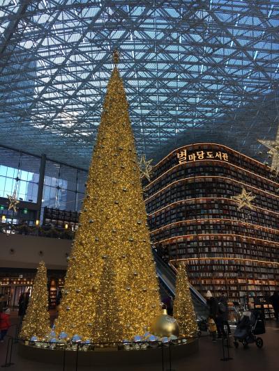 極寒韓国 20180111~14