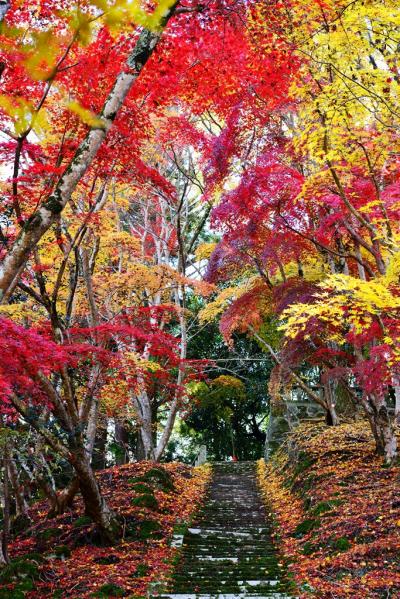 もう一度耶馬渓の紅葉　2018