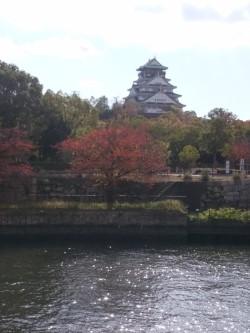 大阪名古屋そして佐久島でアートな島を満喫するのだ(大阪編）