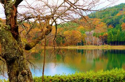 山海の珍味と温泉を巡る旅三日目七不思議の湯　白根館、四尾連湖とみたまの湯