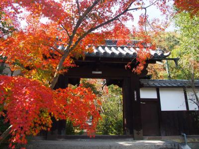 激混み京都の紅葉名所が嫌なら八幡に限る！そのあと星のブランコにチャレンジ(^O^)／