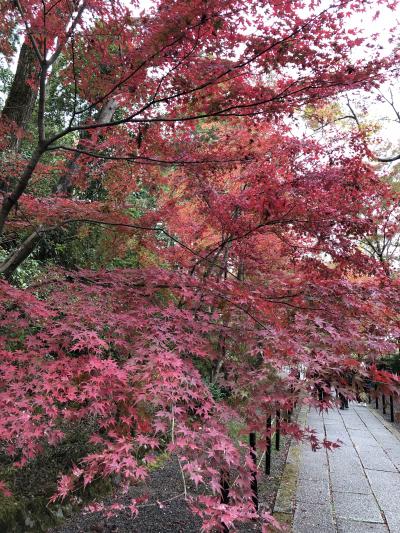 光明寺の紅葉♪2018