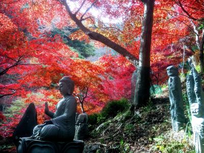 真っ赤に染まる大山寺 朱色に染まる阿夫利神社 そして修行のために大山登山