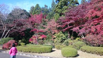 201811,秋の東京3,武蔵野陵,いとこたちと鬼ごっこが一番楽しい,山手線で反対に乗った田舎者