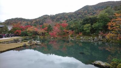 今年も京都に紅葉狩りをしに行きました。（嵐山・洛西編）
