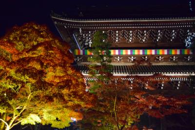 第一回京都紅葉オフ会2018 と 通常営業のひとり旅　★一年で何県行けるかな京都篇★