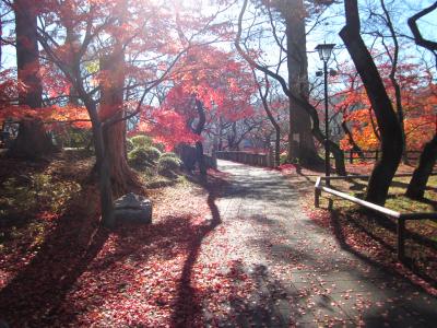 信州・伊那路　晩秋の紅葉に湯ったり温泉とグルメツアーにぶらぶらドライブ旅