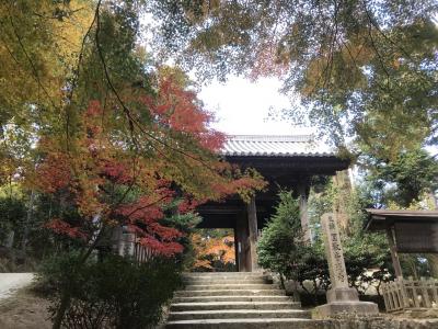 西国  27番  書写山円教寺