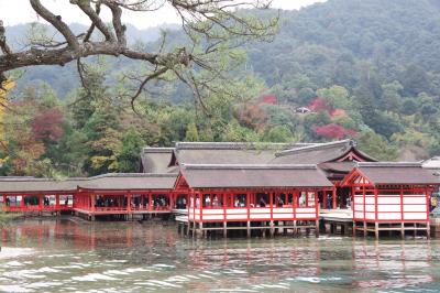 激安ツアーで錦帯橋、宮島へ