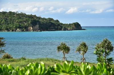 ノープランで出発・沖縄本島北部の自然満喫旅　①