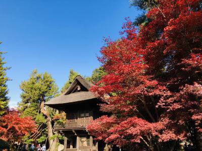 平成最後の紅葉を満喫する旅　Part2